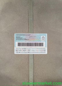 Italy ID (2016-present) card (updated) photolook back